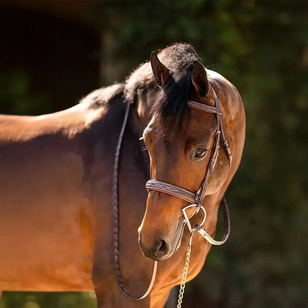 huntley sedgwick leather halter fancy stitched premium english bridle leather