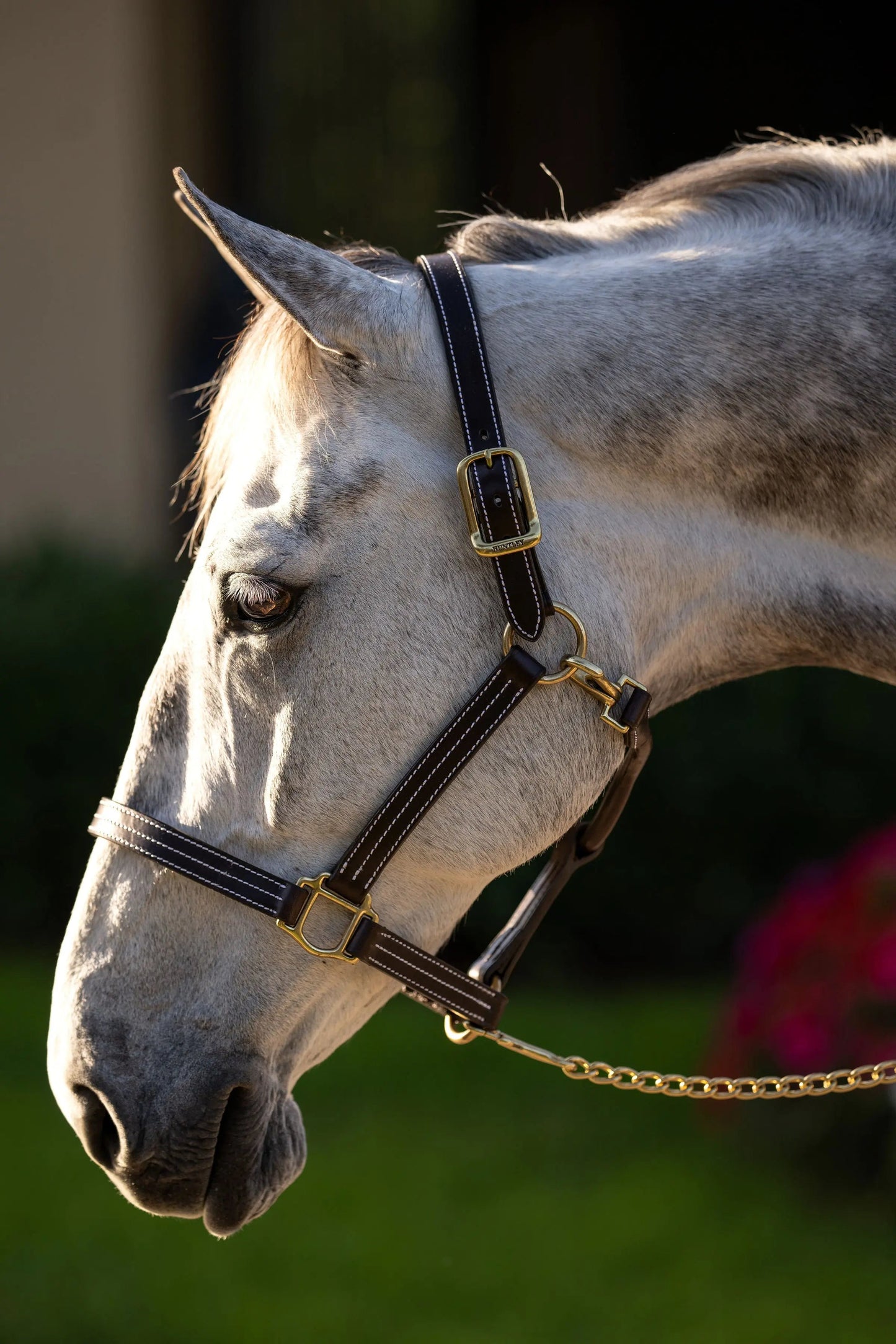 huntley premium leather halter triple stitched durable horse halter