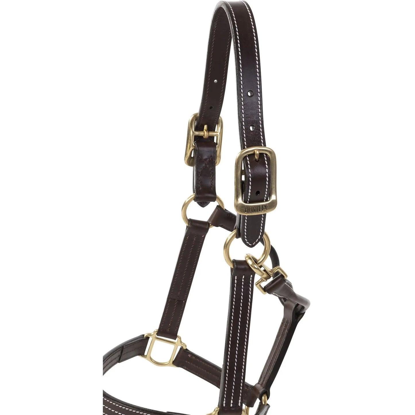 classic equestrian halter premium leather 