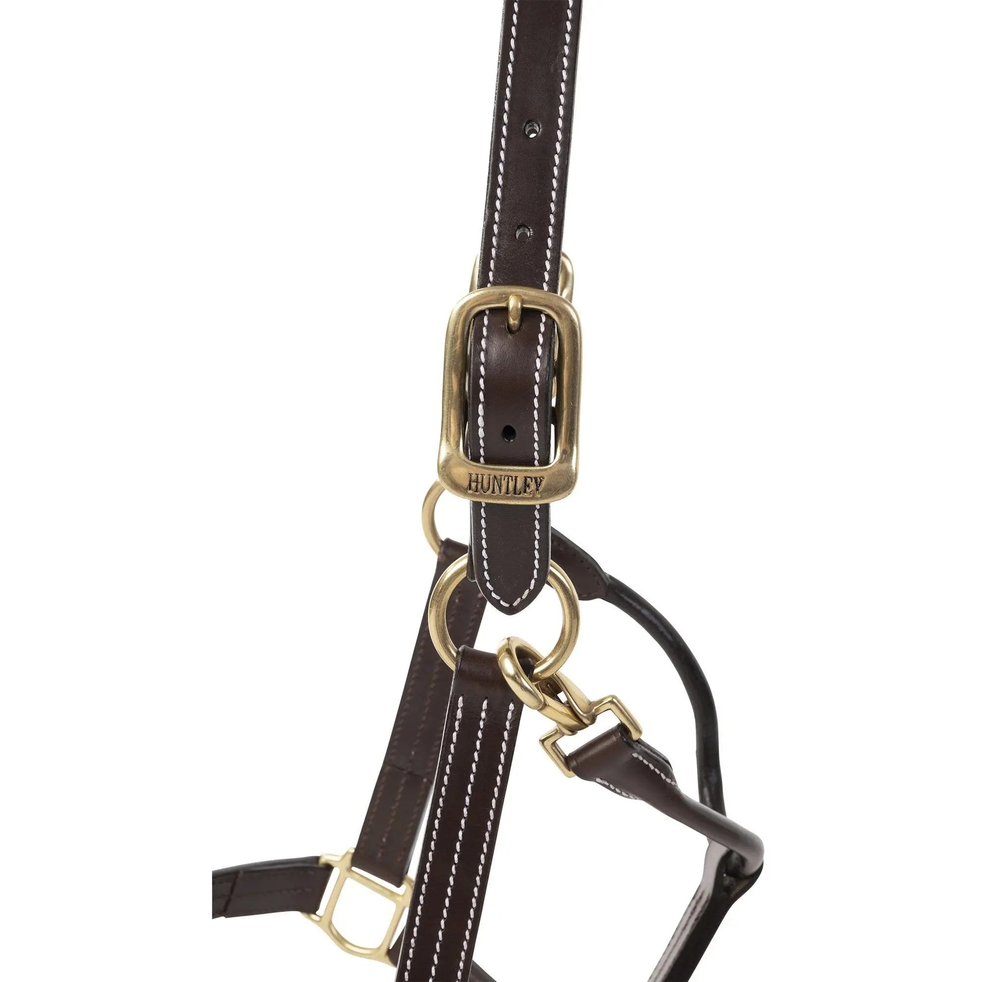 classic equestrian halter