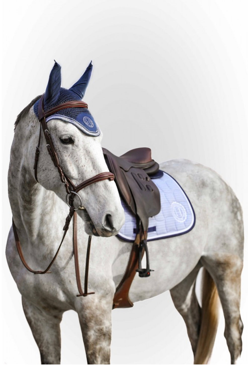 Surf CSO Saddle Pad & Fleek Fly Bonnet Set