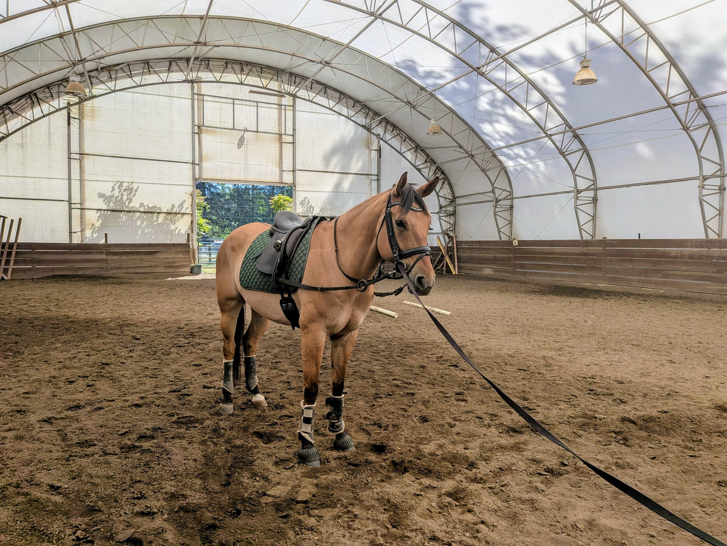 Nylon Lunge Line