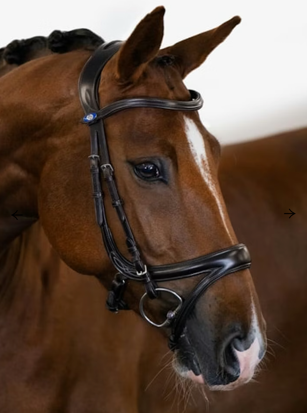 PS of Sweden Competition Bridle
