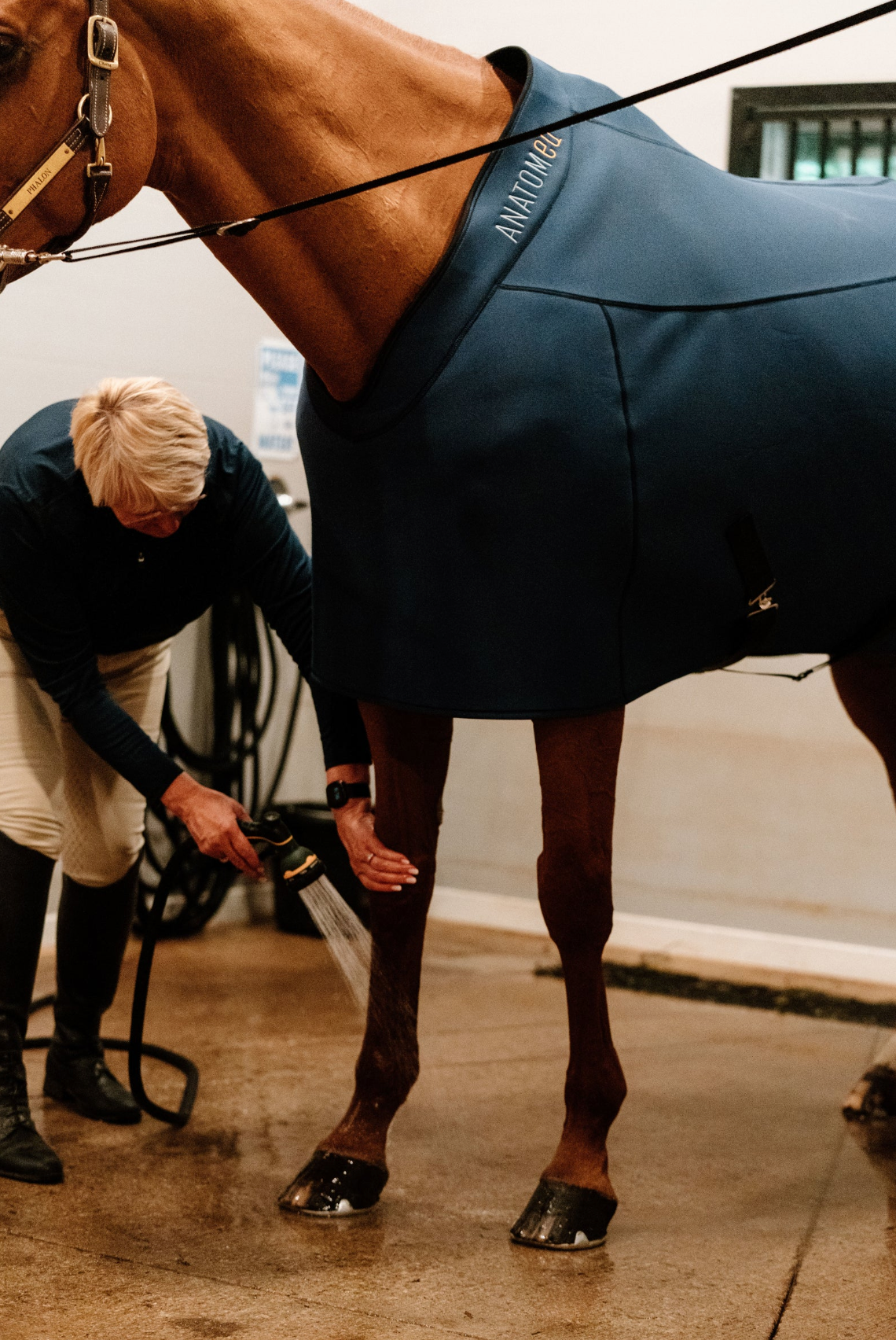 Anatomeq Fit Blanket