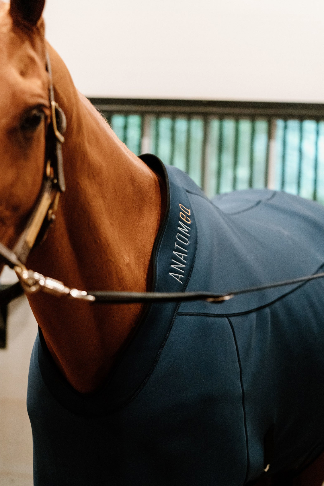 Anatomeq Fit Blanket