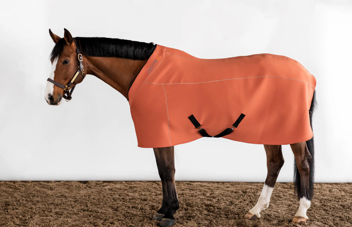 Anatomeq Fit Blanket