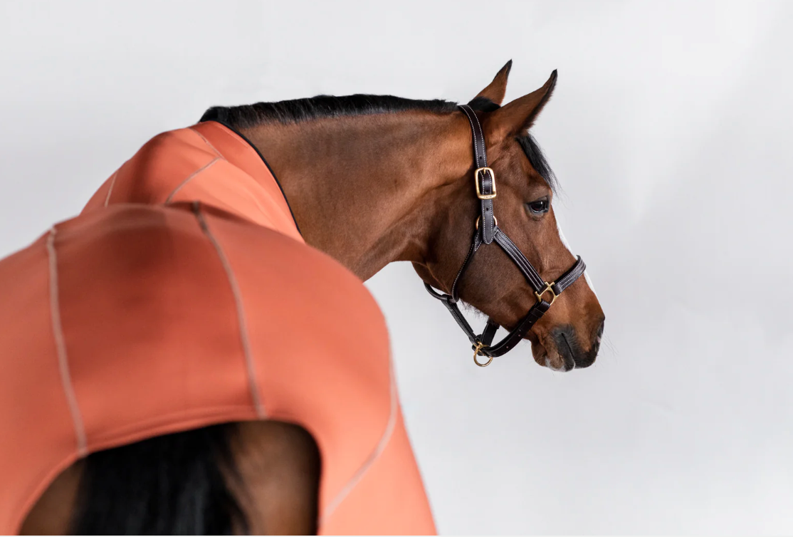 Anatomeq Fit Blanket