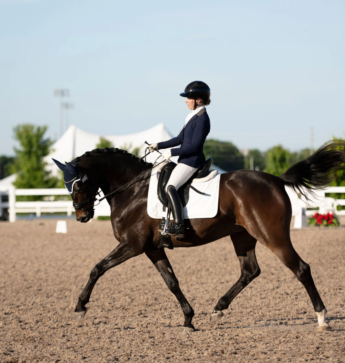 Anatomeq Perfeq Dressage Pad
