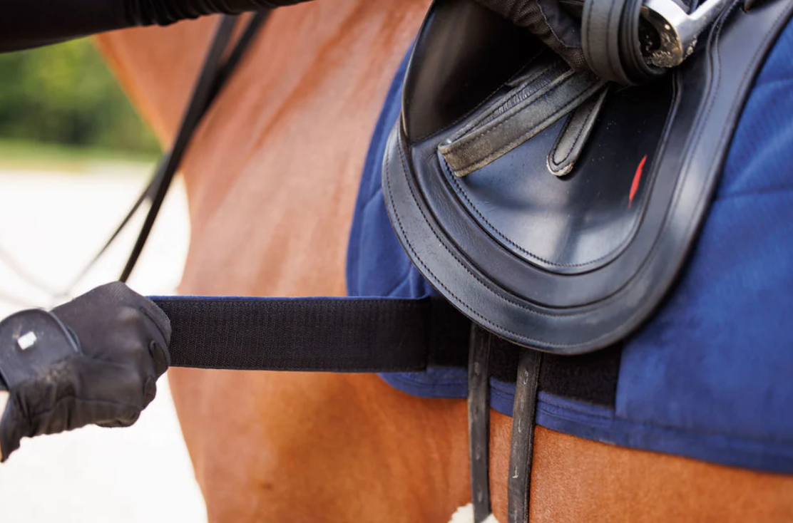 Anatomeq Perfeq Dressage Pad