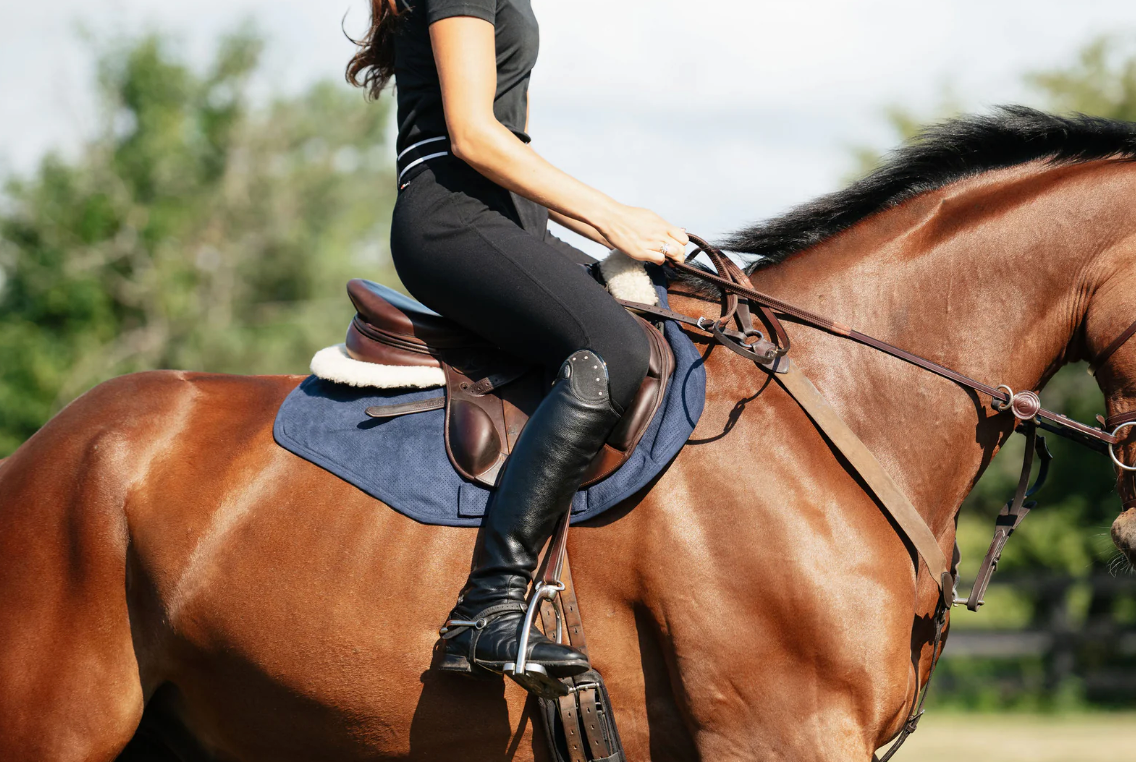 Anatomeq Perfeq XC Pad