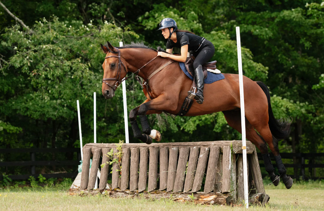 Anatomeq Perfeq XC Pad