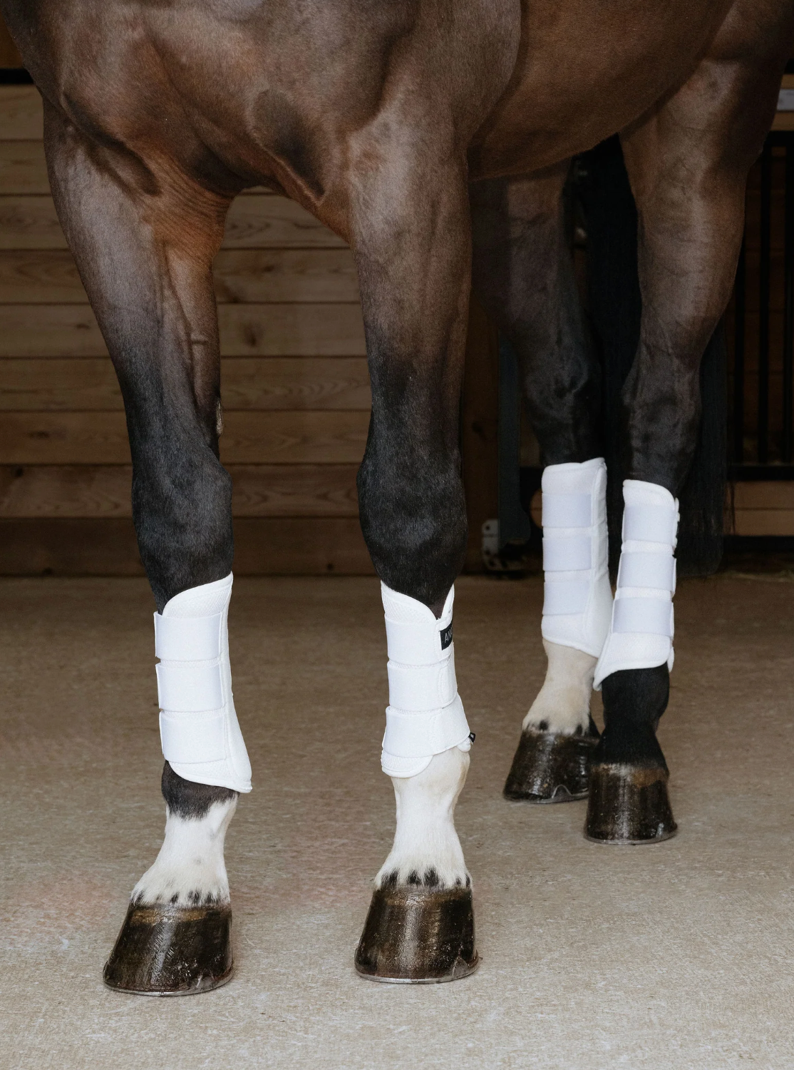 Anatomeq AirGuard Brush Boots