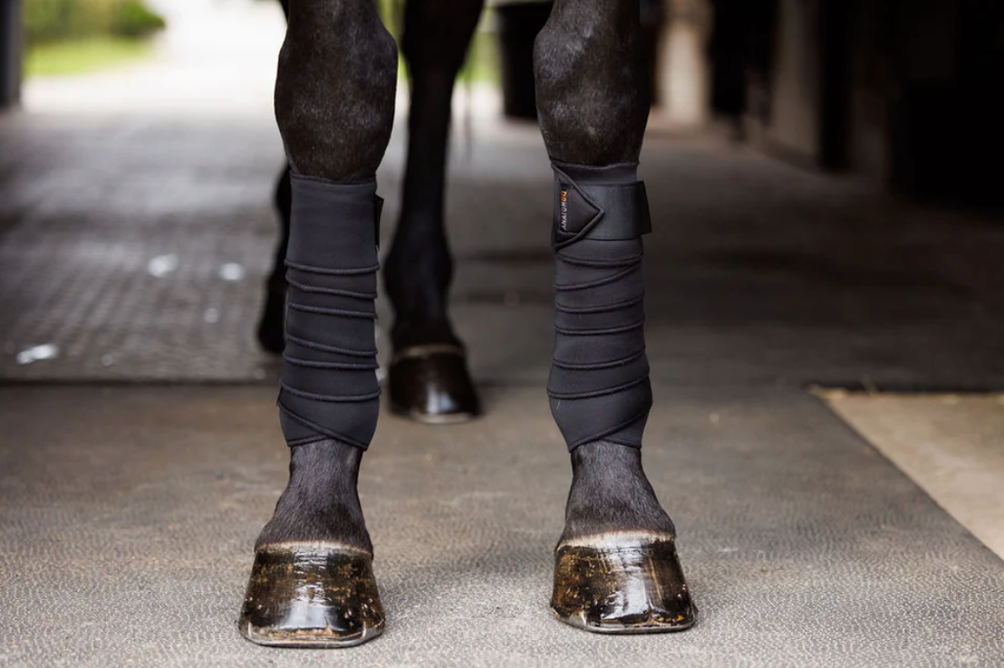 Anatomeq SoftSupport Polos