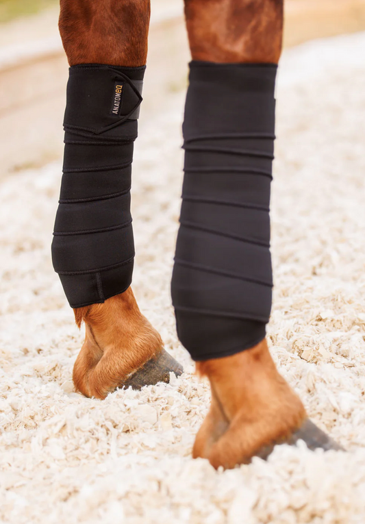 Anatomeq SoftSupport Polos