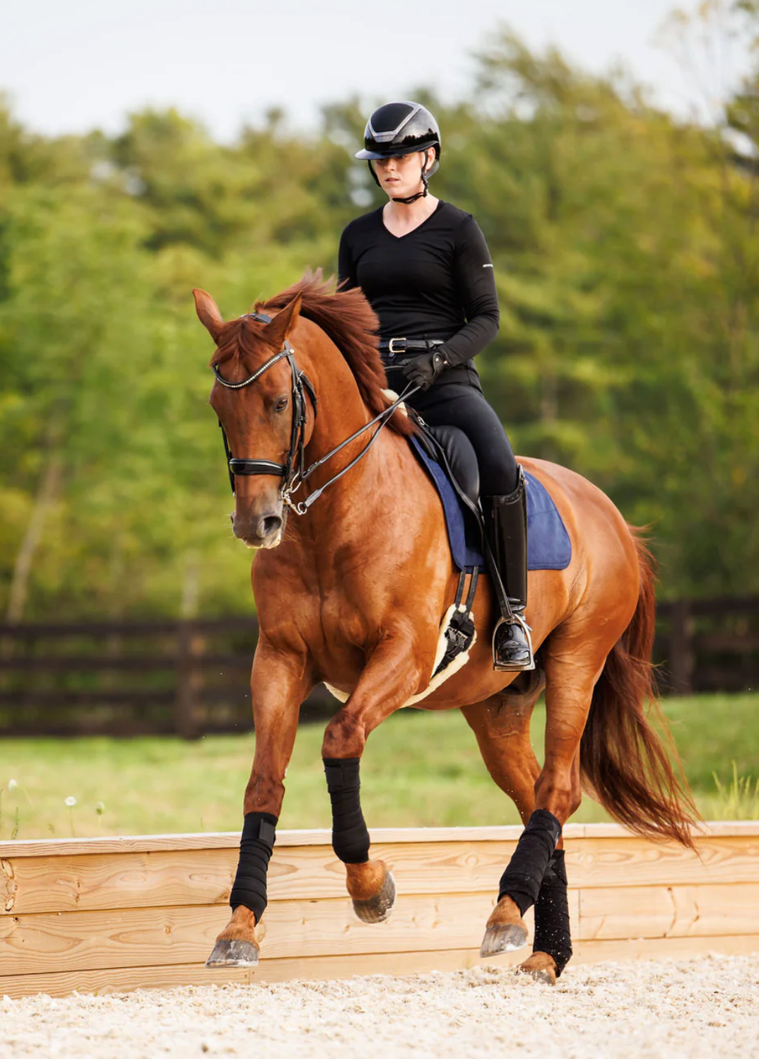 Anatomeq SoftSupport Polos