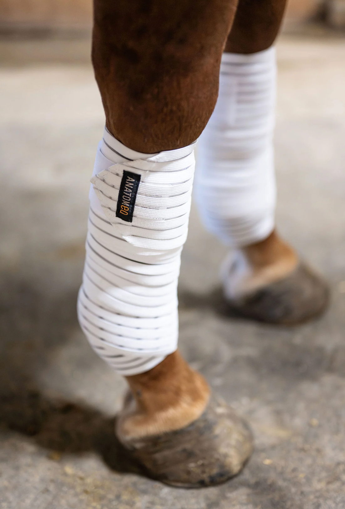 Anatomeq CoolSupport Combi Polos