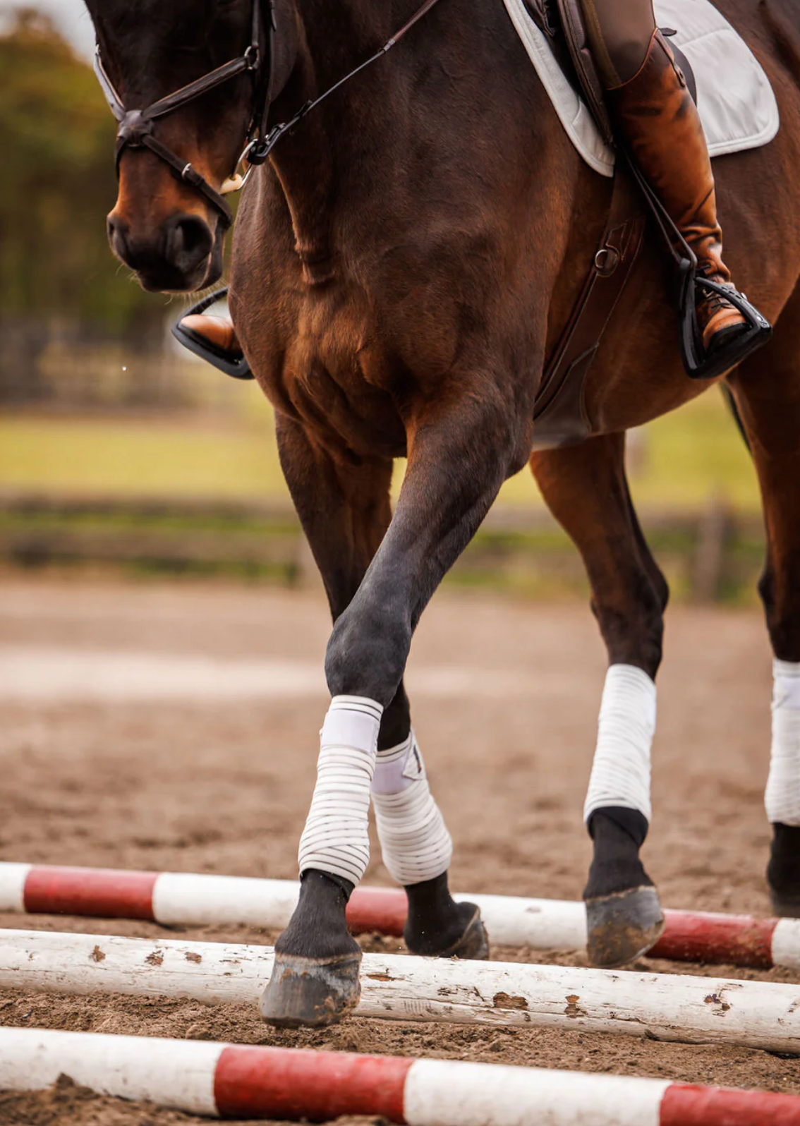 Anatomeq CoolSupport Combi Polos