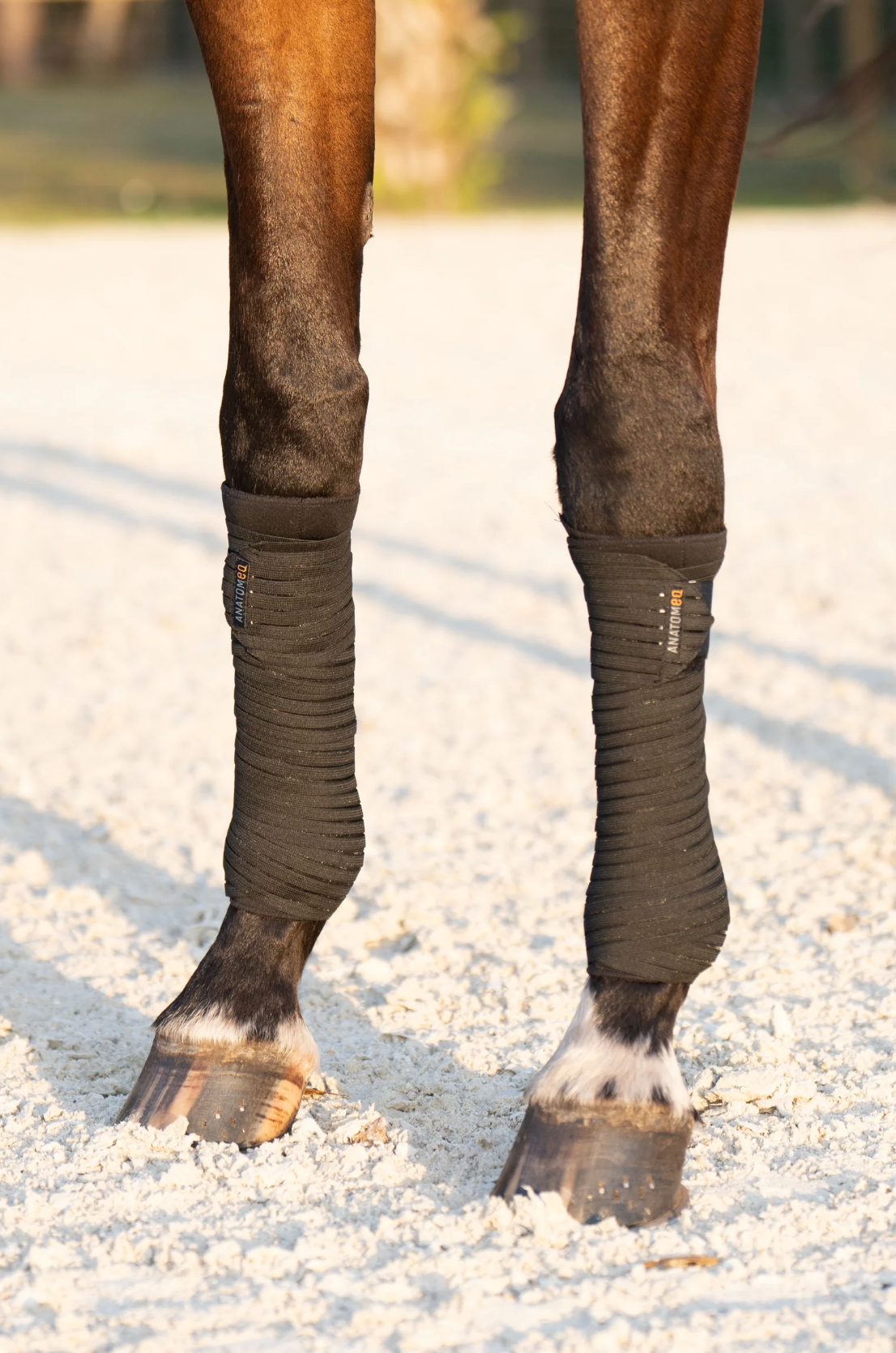 Anatomeq PoloPillows Bandage Liners
