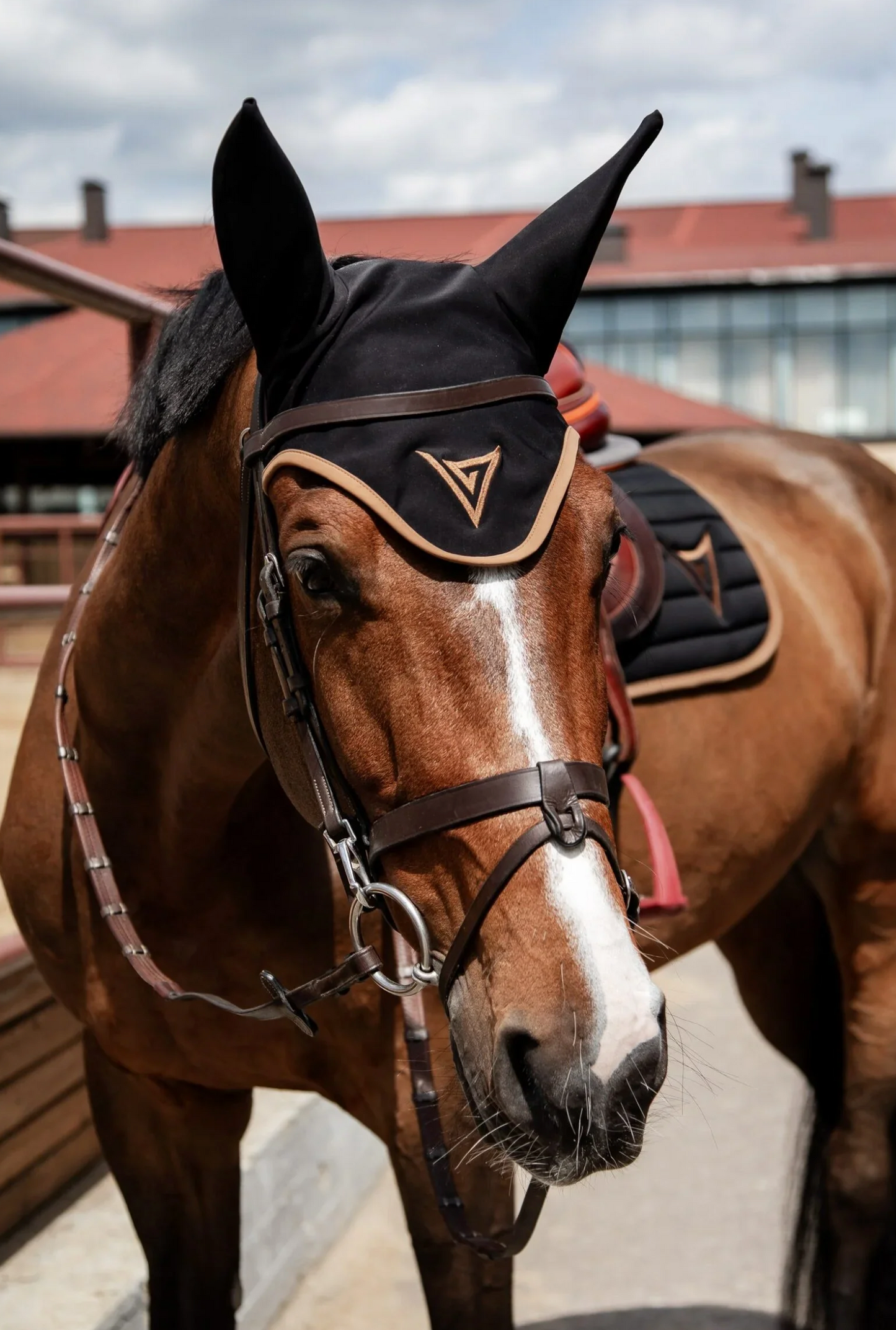 Ear Bonnet with a Contrasting Frame “Precision”