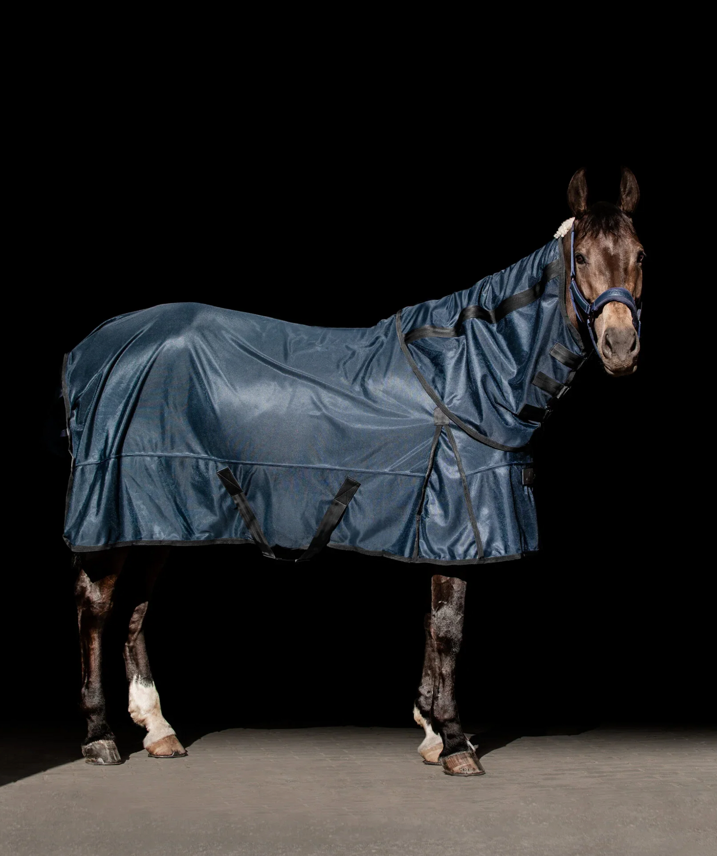 Fly Rug “Shield”