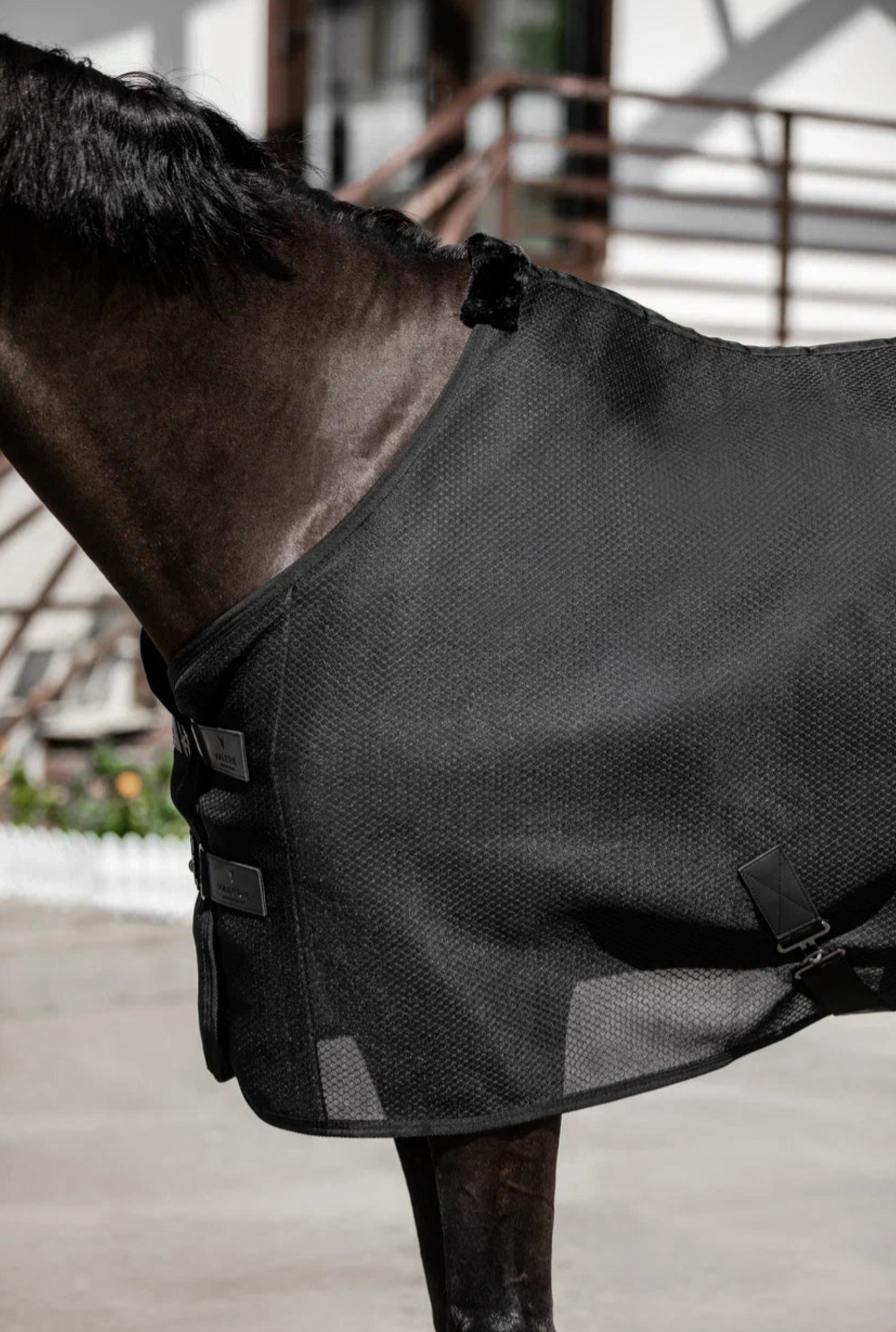 Cooler Horse Rug “Refresh”