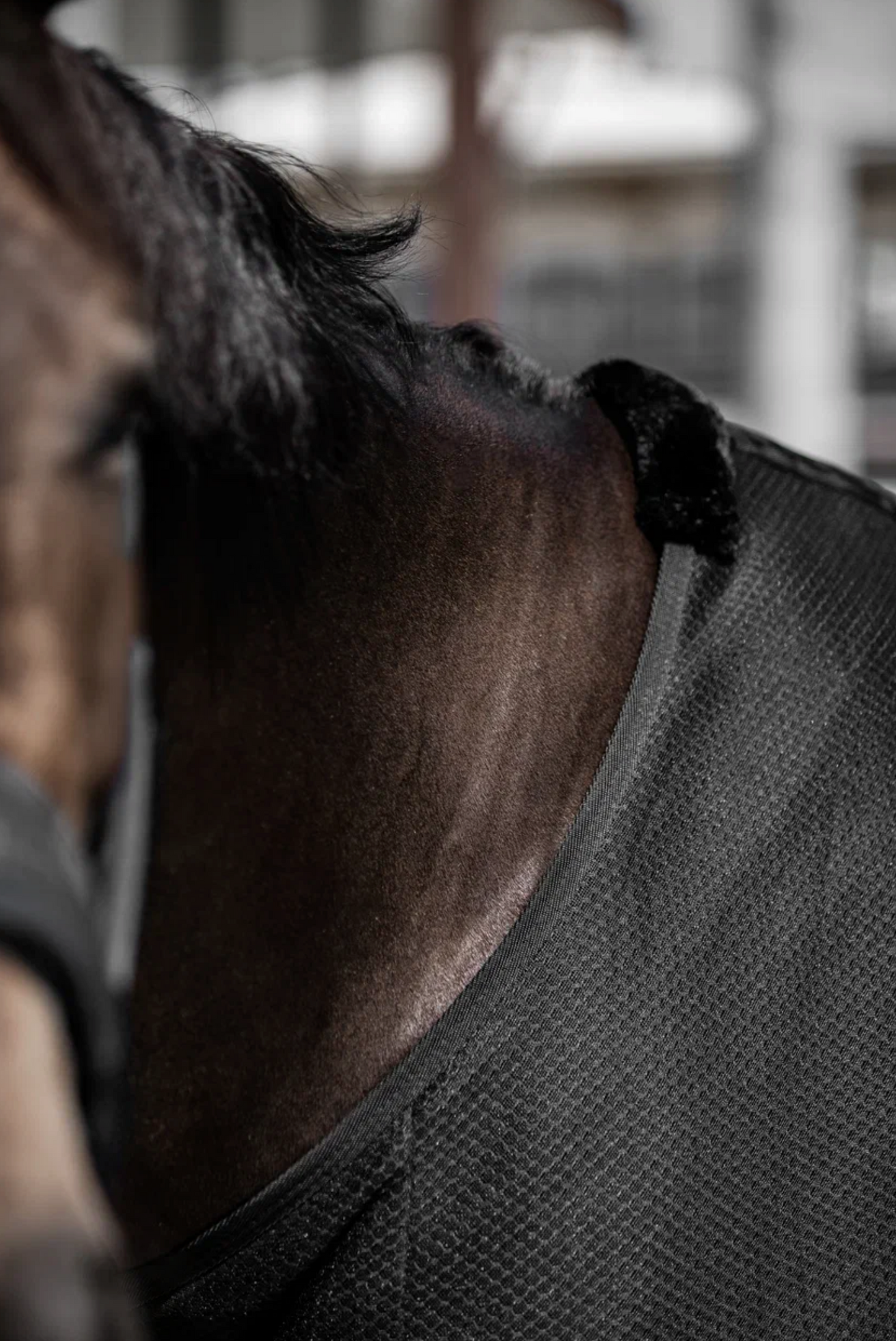Cooler Horse Rug “Refresh”