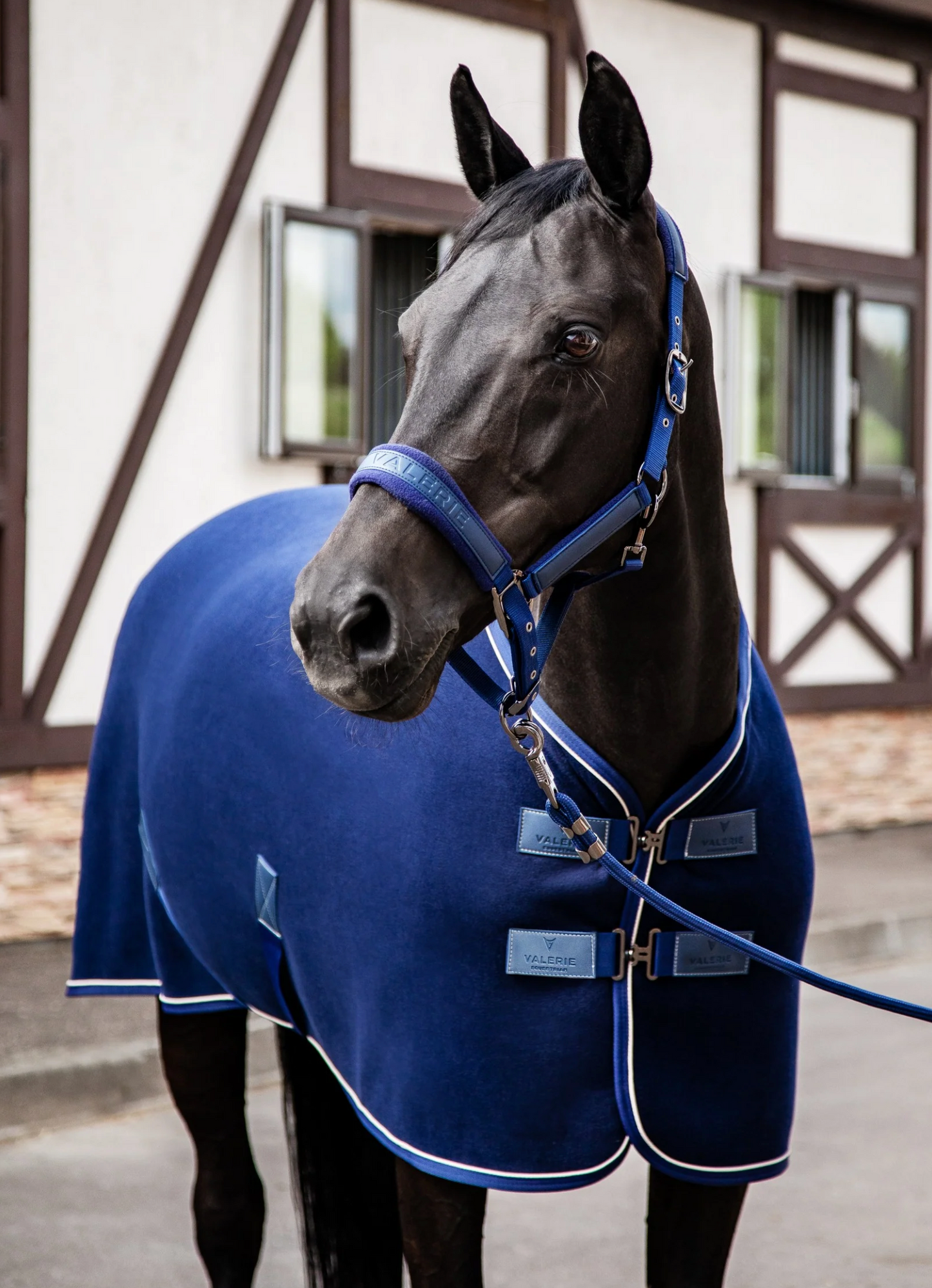Fleece Horse Rug “Care”