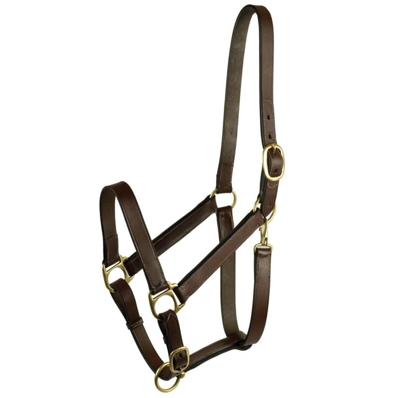 Leather Turnout Halter with Snap