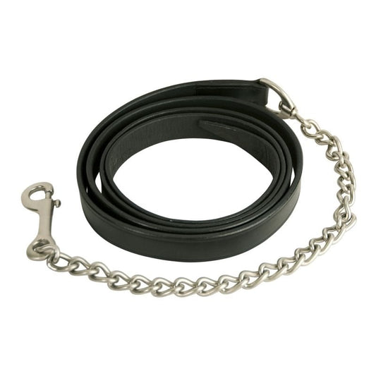 Black leather lead with a silver chain and bolt snap, coiled on white