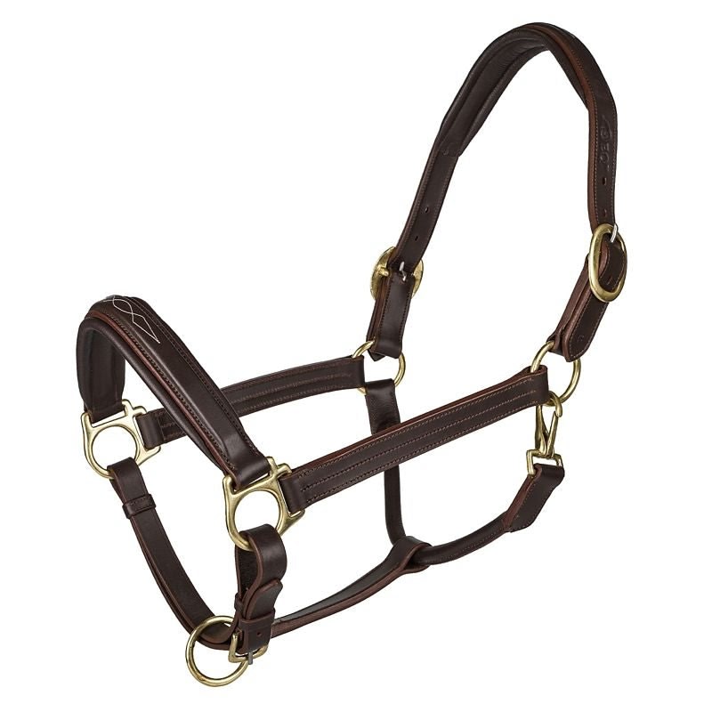 Oak Equestrian Fancy Stitched Square Raised Leather Halter