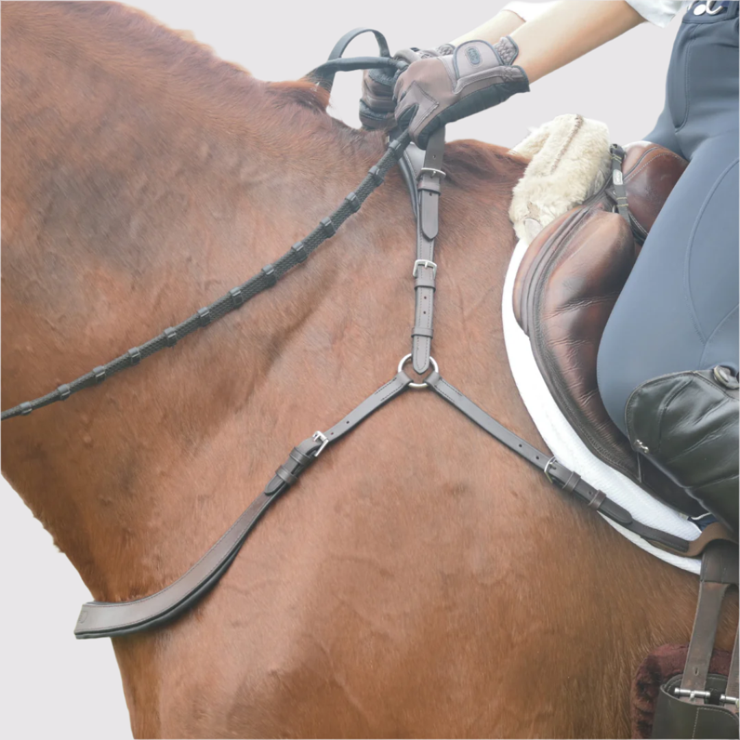 Brown breastplate on a chestnut horse, side view showing the straps running to the saddle and girth