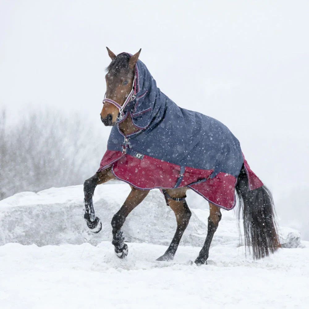 EQUITHÈME Tyrex 1200 D Combo Turnout Rug