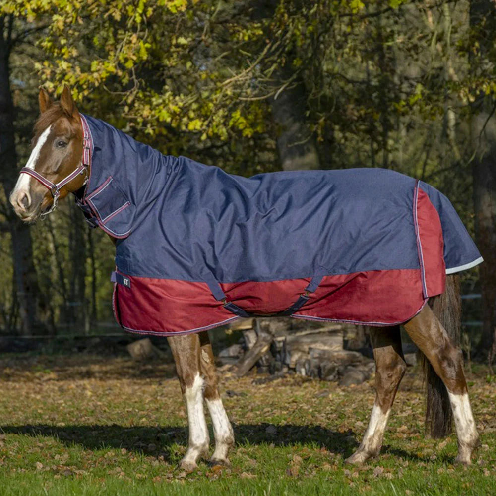 EQUITHÈME Tyrex 1200 D Combo Turnout Rug