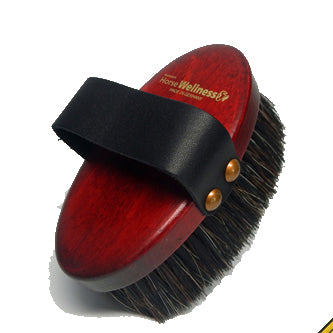 Complete Horse Grooming Set 'Gold Deluxe'