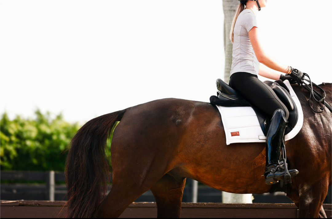 The Proper Fox Soft White Dressage Pad