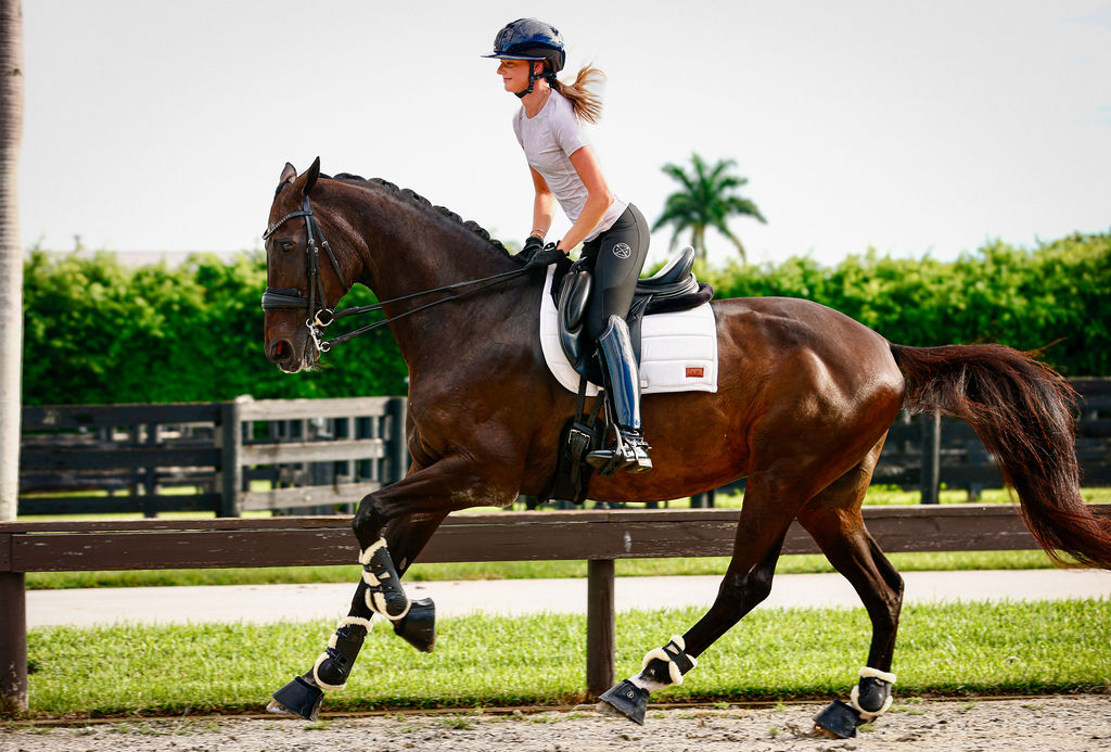 The Proper Fox Soft White Dressage Pad