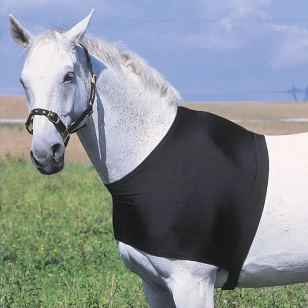 EQUITHÈME Shoulder Protection