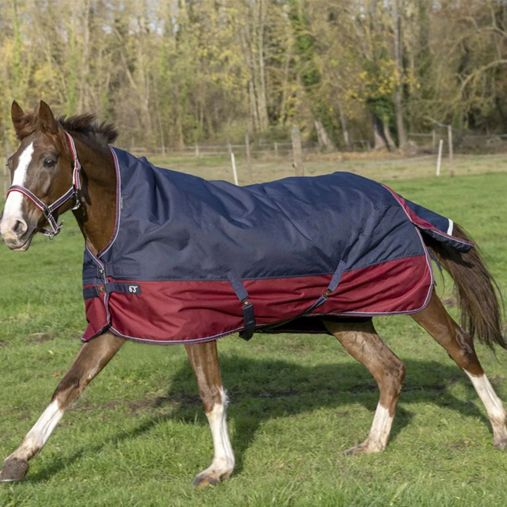 EQUITHÈME Tyrex 1200 D Turnout Rug with high neck